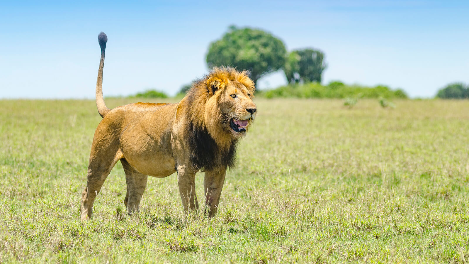 18-Day Luxury Kenya, Tanzania, and Uganda Safari