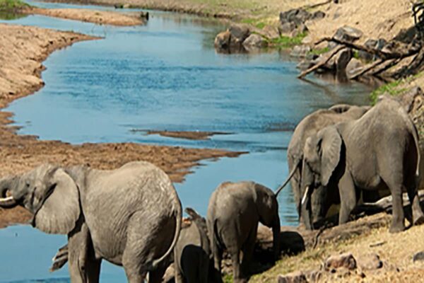 Ruaha National Park. Ruaha National Park