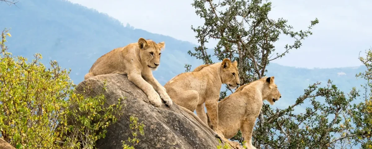 Tsavo East National Park
