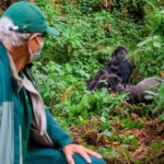 4-Day Private Rwanda Gorilla Trekking Experience Safari