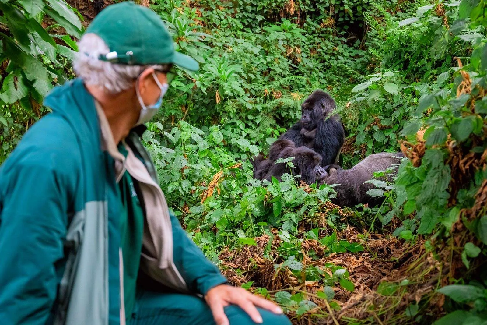 4-Day Luxury Rwanda Gorilla Trekking Safari