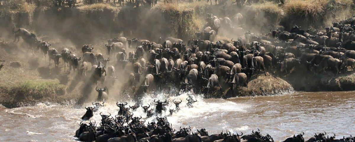 12-Day Tanzania Wildlife Safari