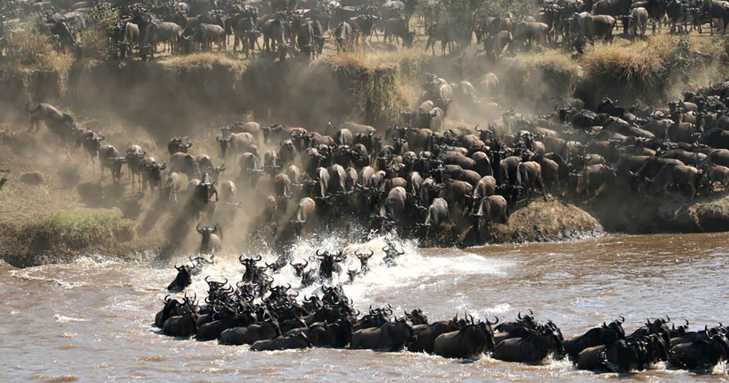 12-Day Tanzania Wildlife Safari