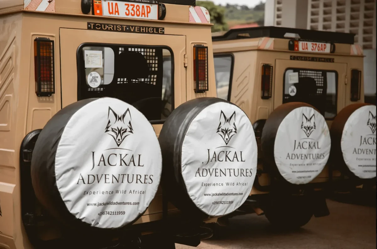 Game Drive Safari Experiences