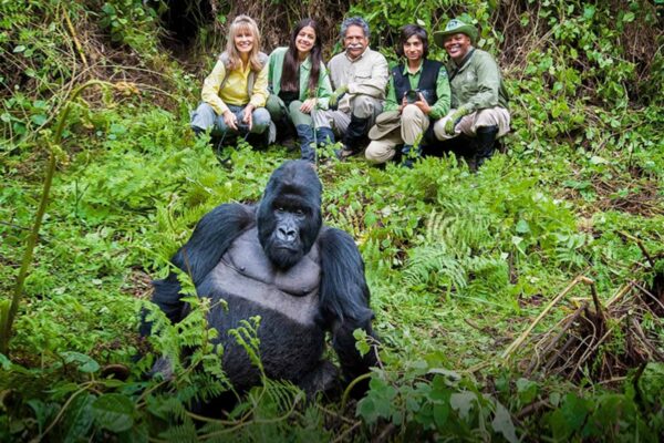 gorilla-trekking-in-rwanda- 3-Day Rwanda Gorilla Trekking Safari