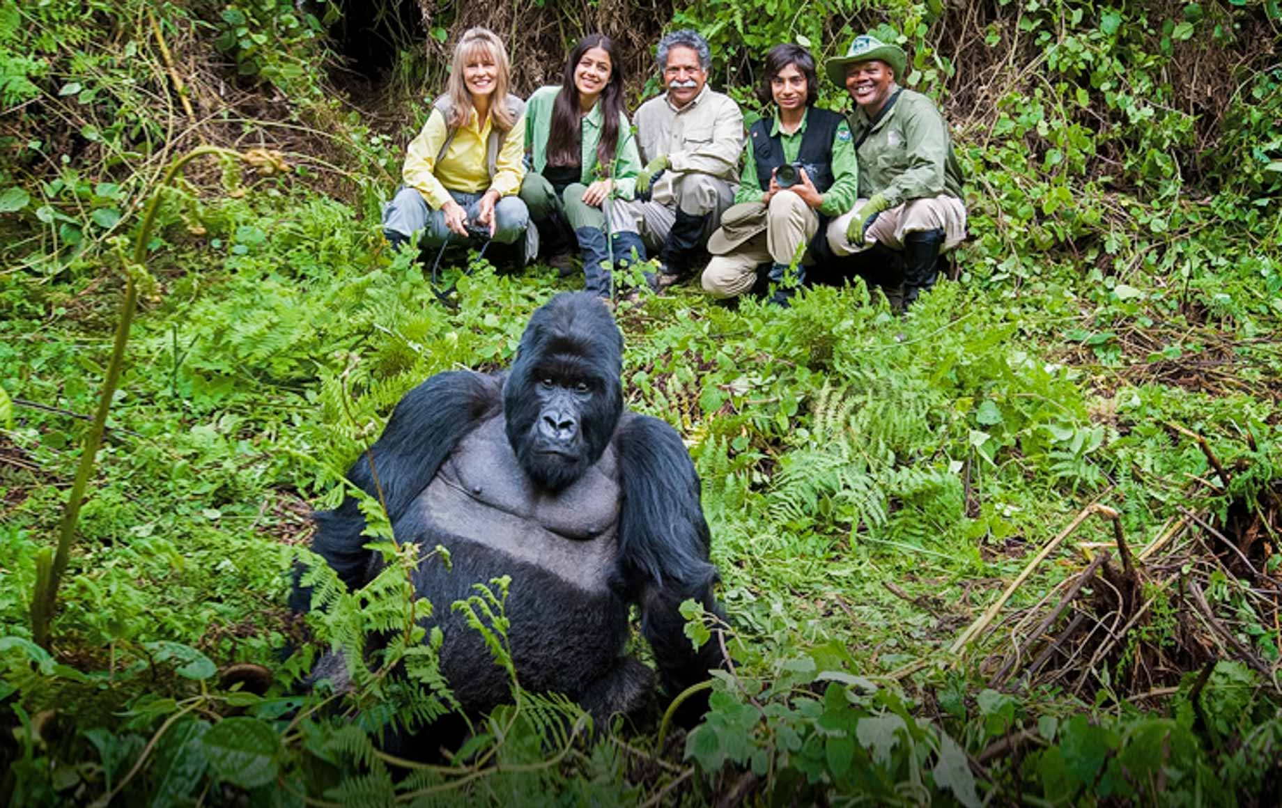 Volcanoes National Park, Rwanda