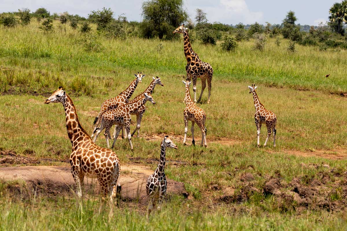 Kidepo Valley National Park