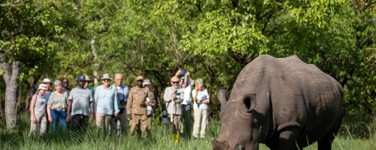 8-Day Uganda Safari Experience