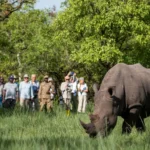 8-Day Uganda Safari Experience