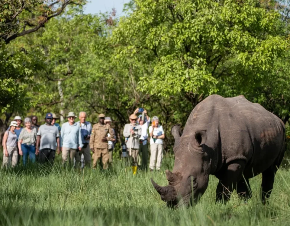 8-Day Uganda Safari Experience