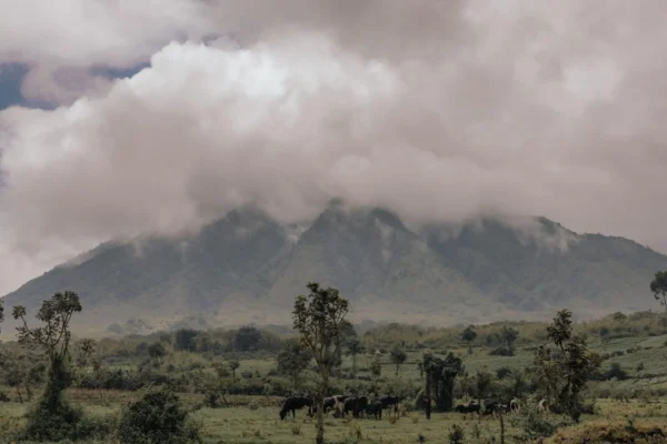 rwanda-volcanoes-landscape rwanda-volcanoes-landscape