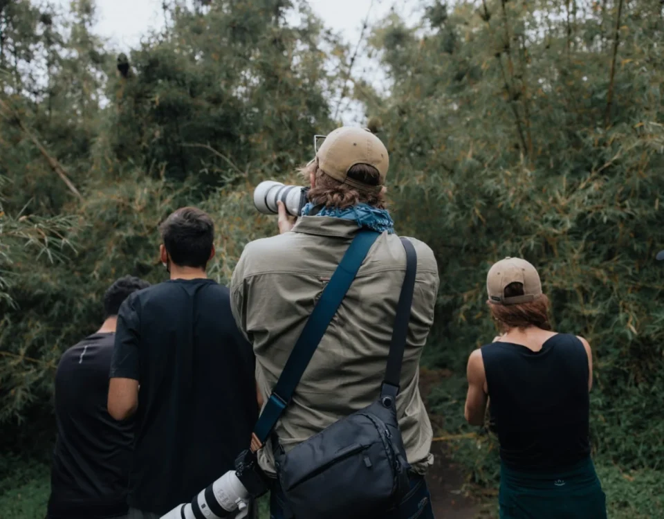 6-Day Best of Rwanda Luxury Safari