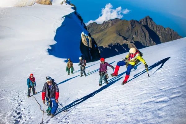 Rwenzori Mountains National Park 15-Day Uganda Gorilla Trekking and Rwenzori Safari