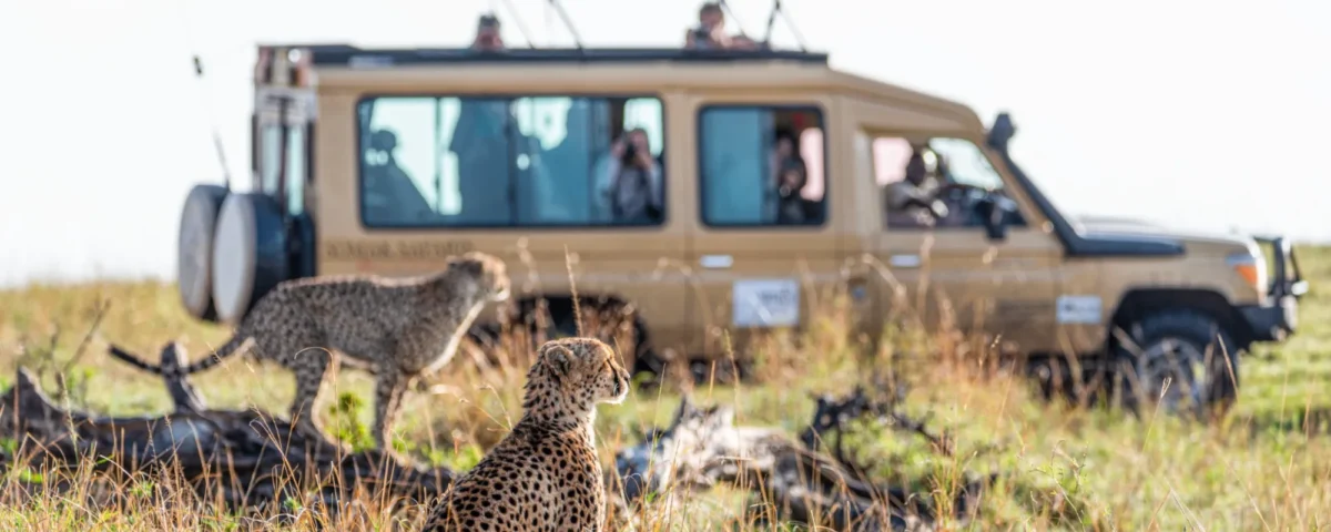 14-Day Uganda Most Popular Luxury Safari