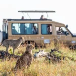 14-Day Uganda Most Popular Luxury Safari