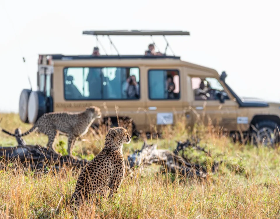 14-Day Uganda Most Popular Luxury Safari