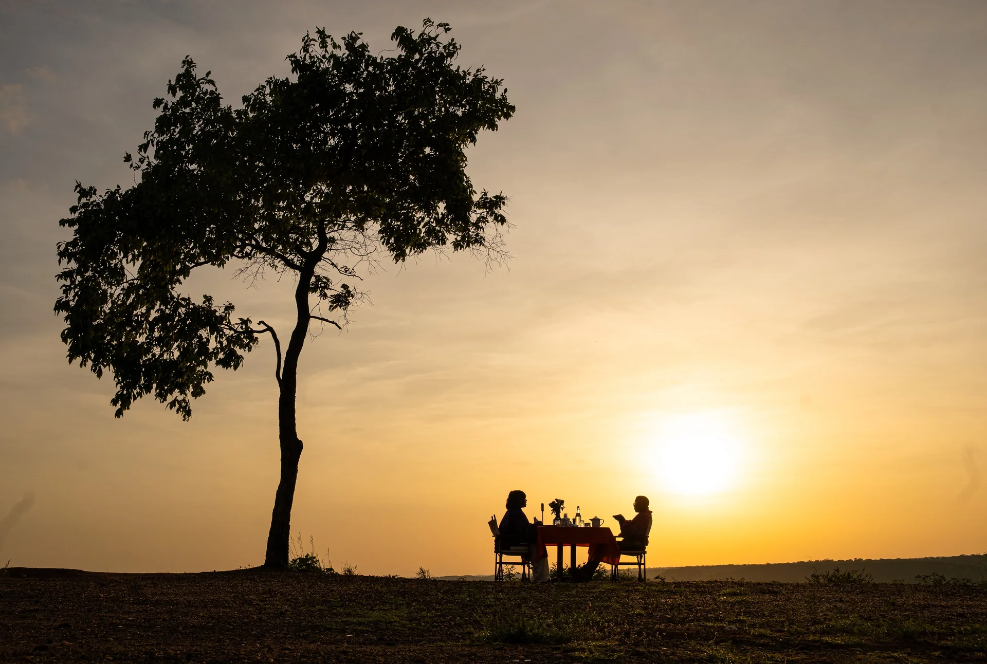 Sunset safari dinner in the bush