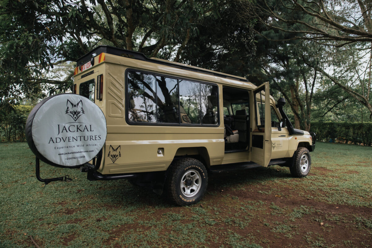 uganda gorilla trekking cost