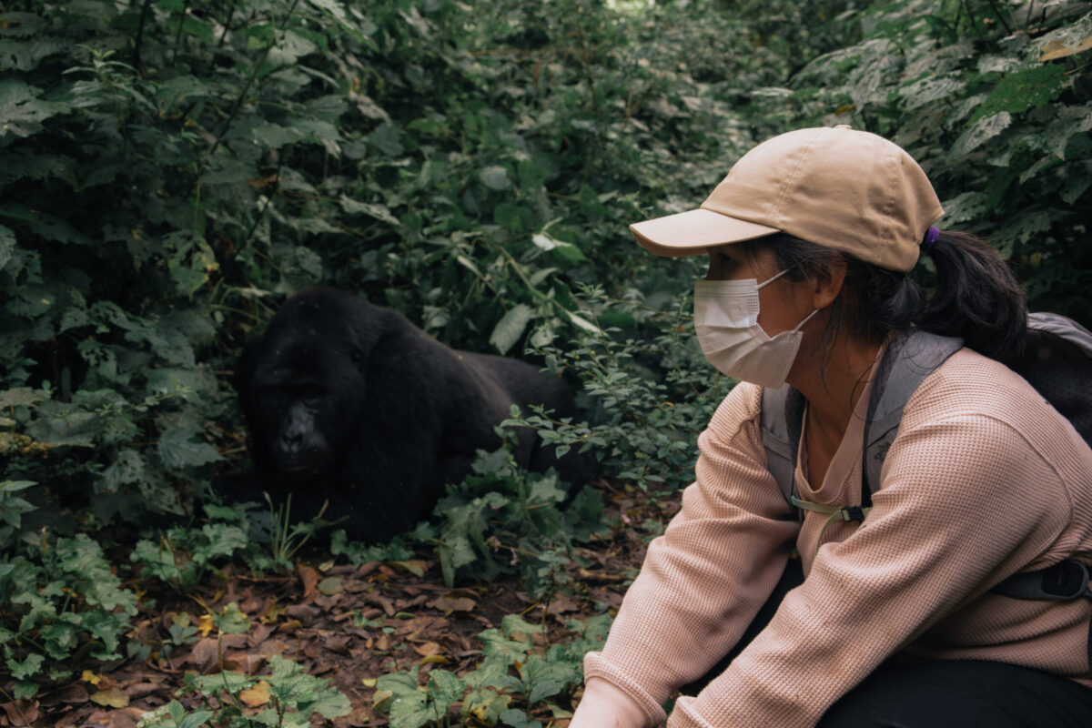 uganda gorilla trekking cost