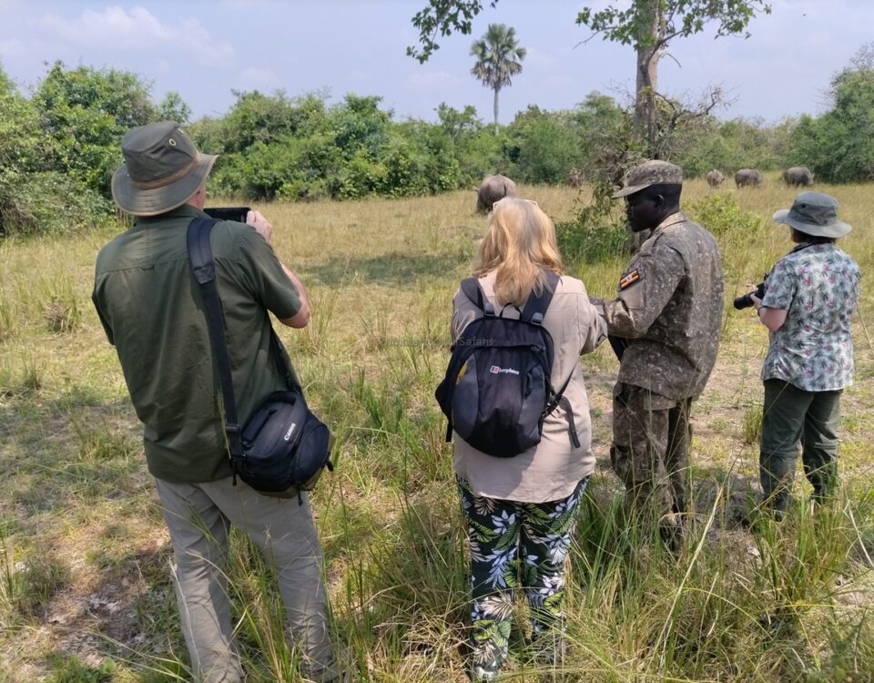 10-Day Uganda Luxury Safari Experience