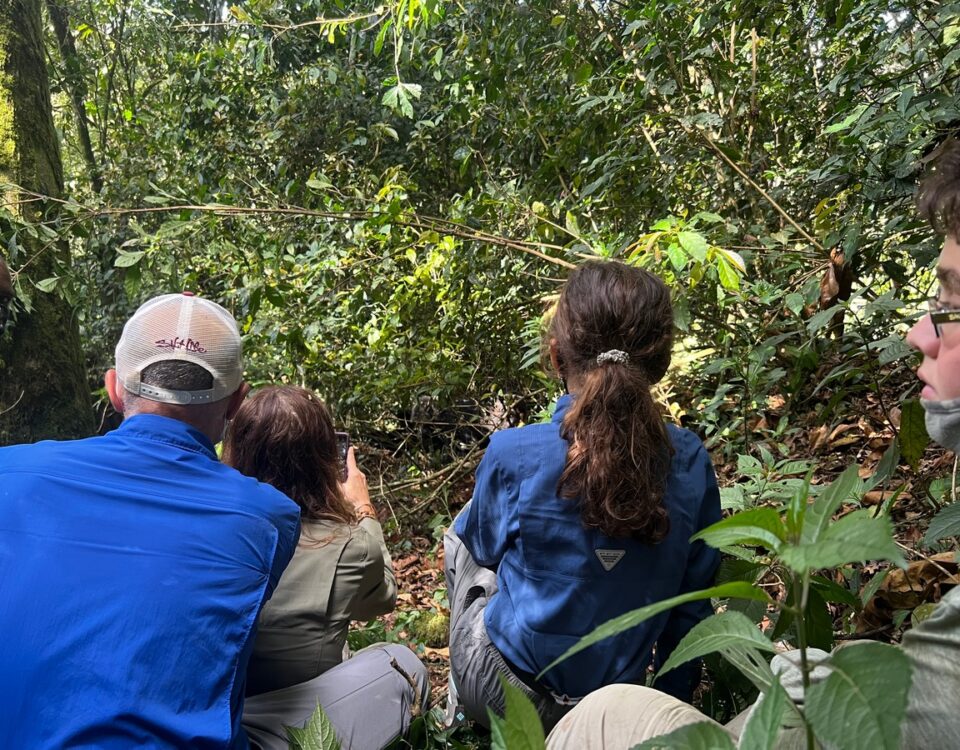 15-Day Uganda Wildlife and Adventure Safari
