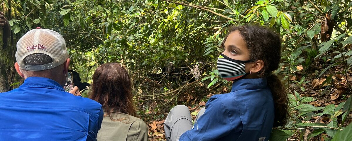 4-Day Luxury Rwanda Gorilla Trekking Safari