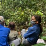 4-Day Luxury Rwanda Gorilla Trekking Safari