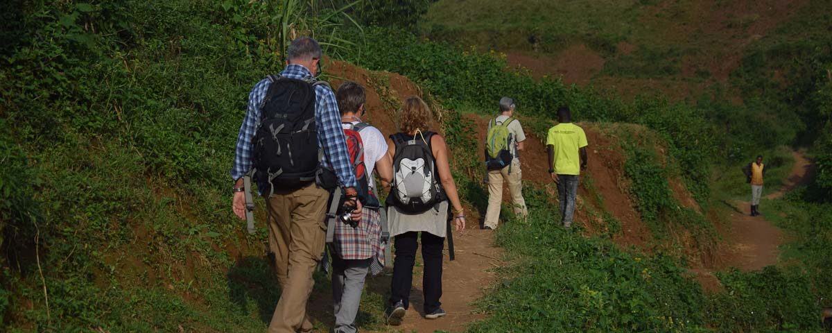 4-Day Uganda Gorilla Habituation Experience