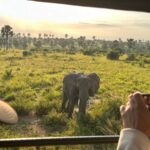6-Day Uganda Primate Experience Safari
