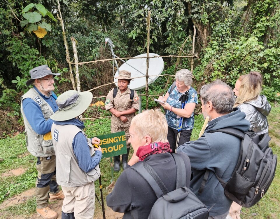 9-Day Kenya Uganda Rwanda Safari