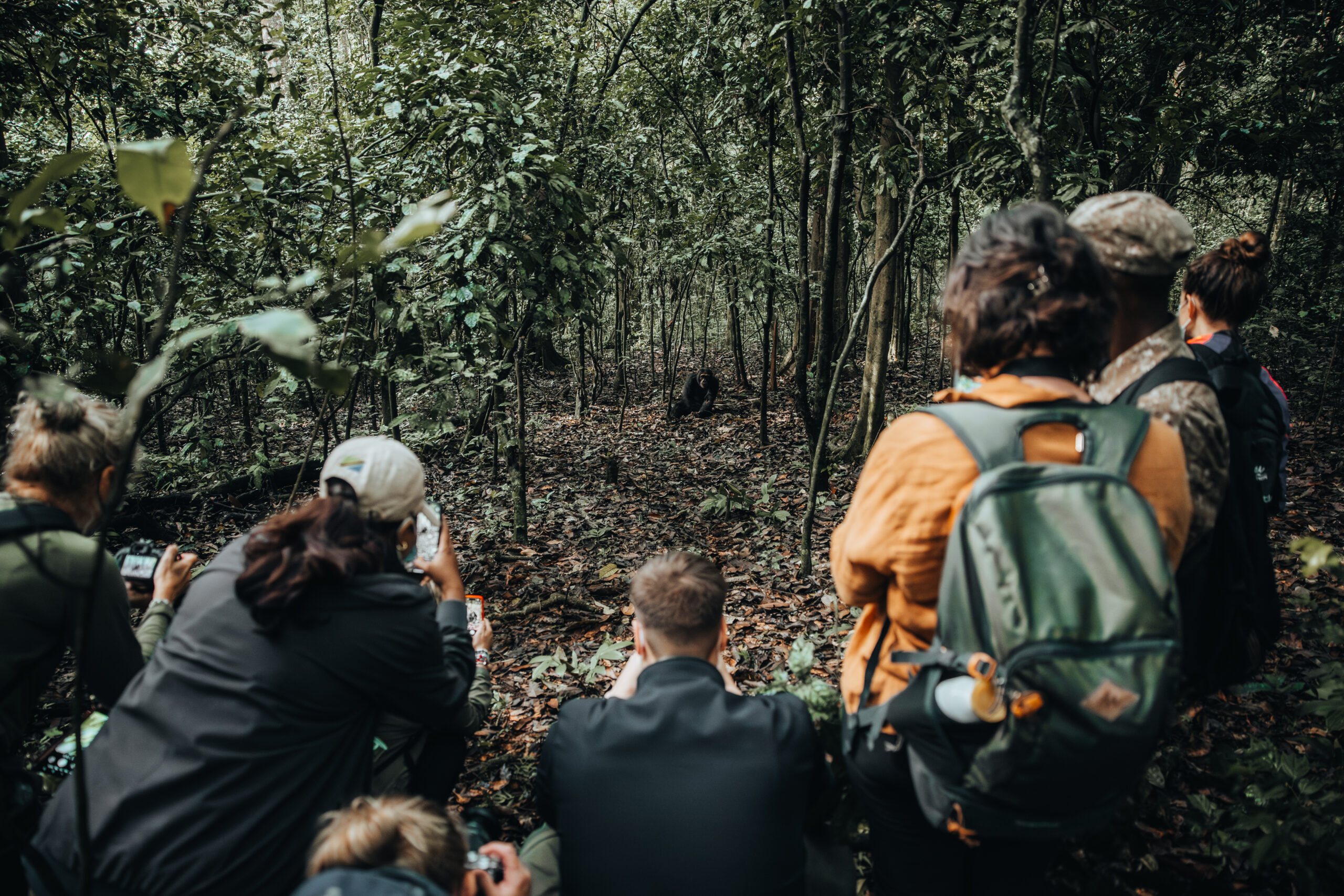 best time to visit Uganda