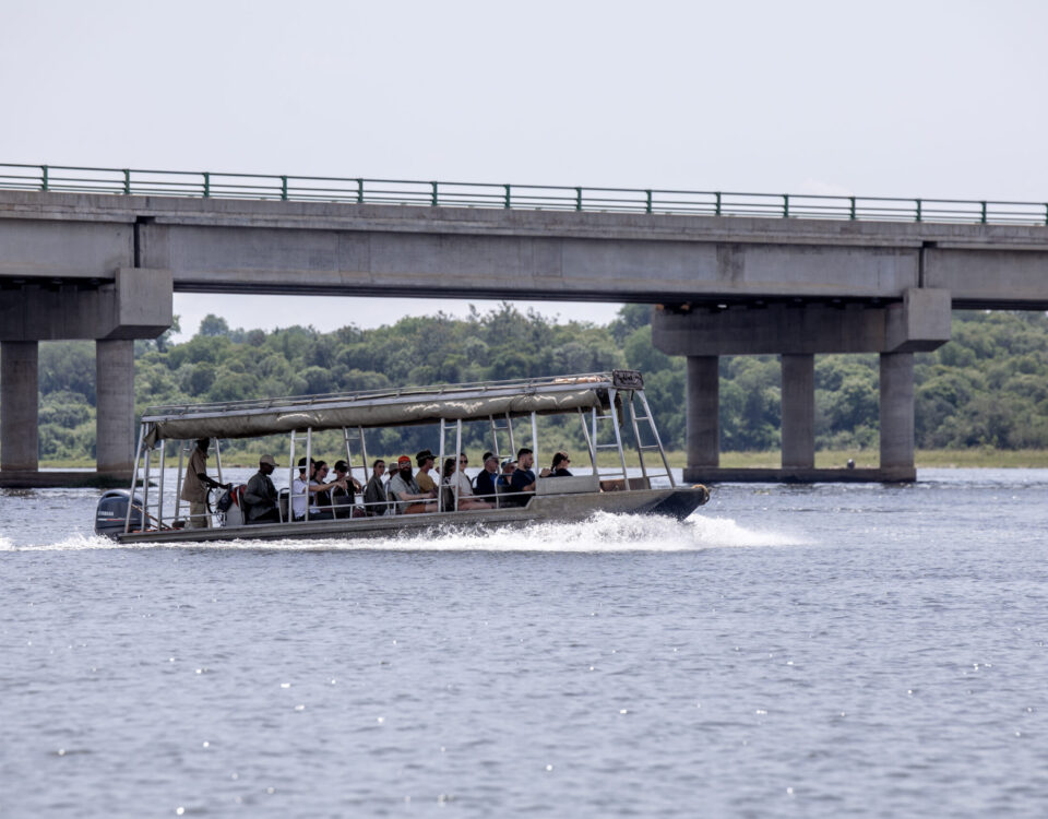 boat safari