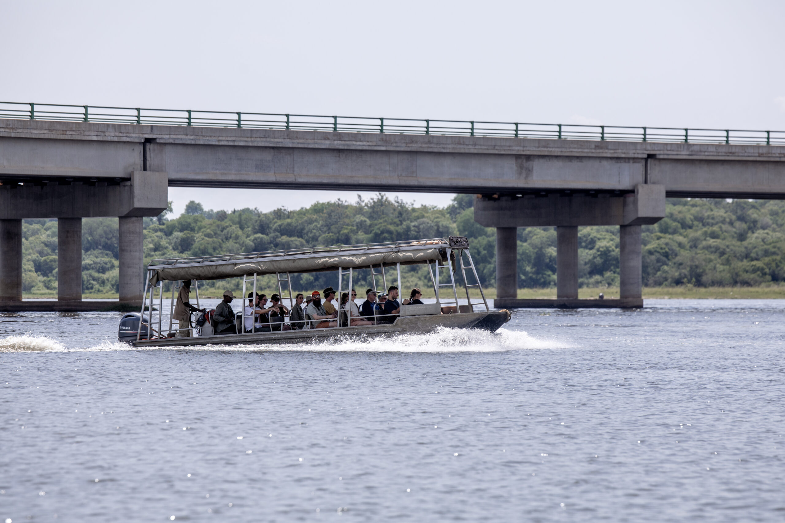 boat safari