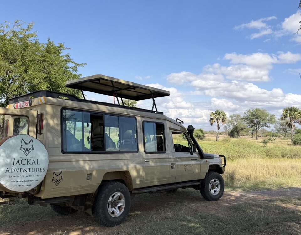 best time to visit Uganda