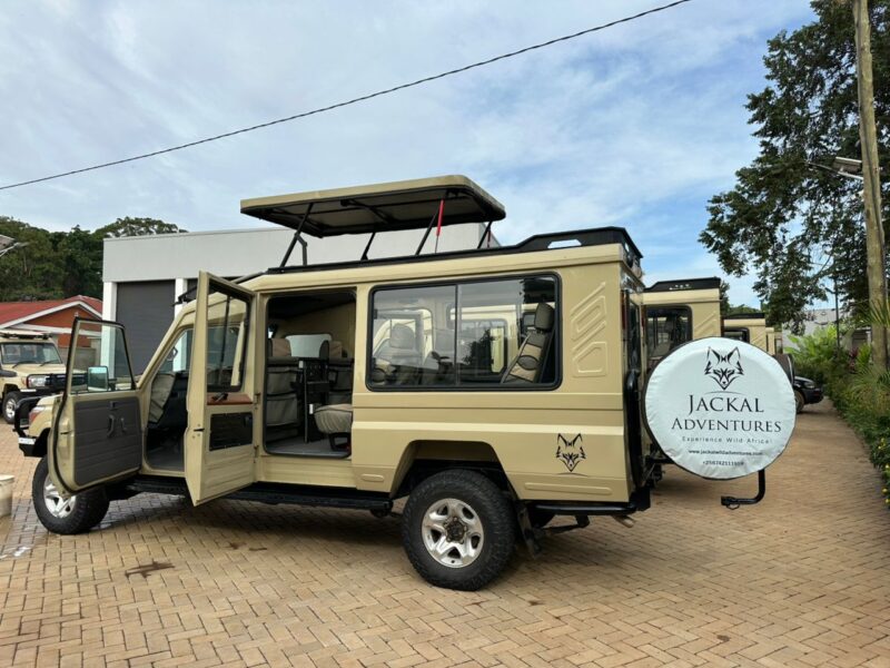 Guests standing through the pop-up roof of a safari Land Cruiser