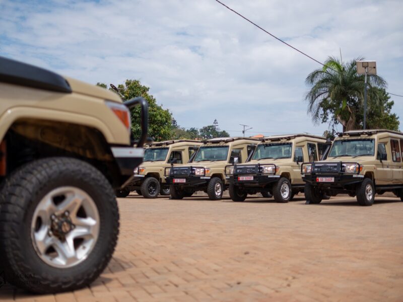 Spare tires and heavy-duty jack on a safari Land Cruiser
