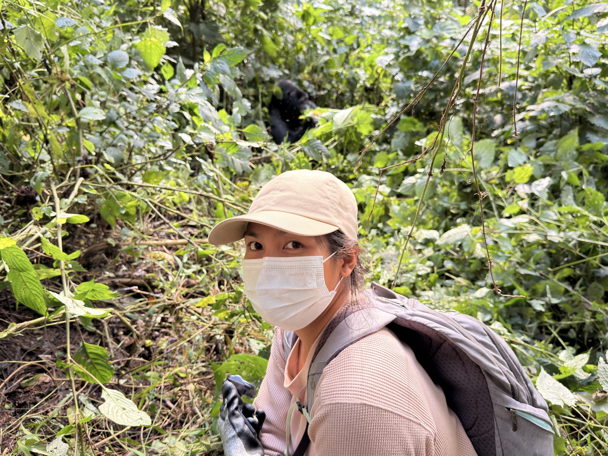 The writer in a mask during the gorilla trek in Bwindi Impenetrable National Park