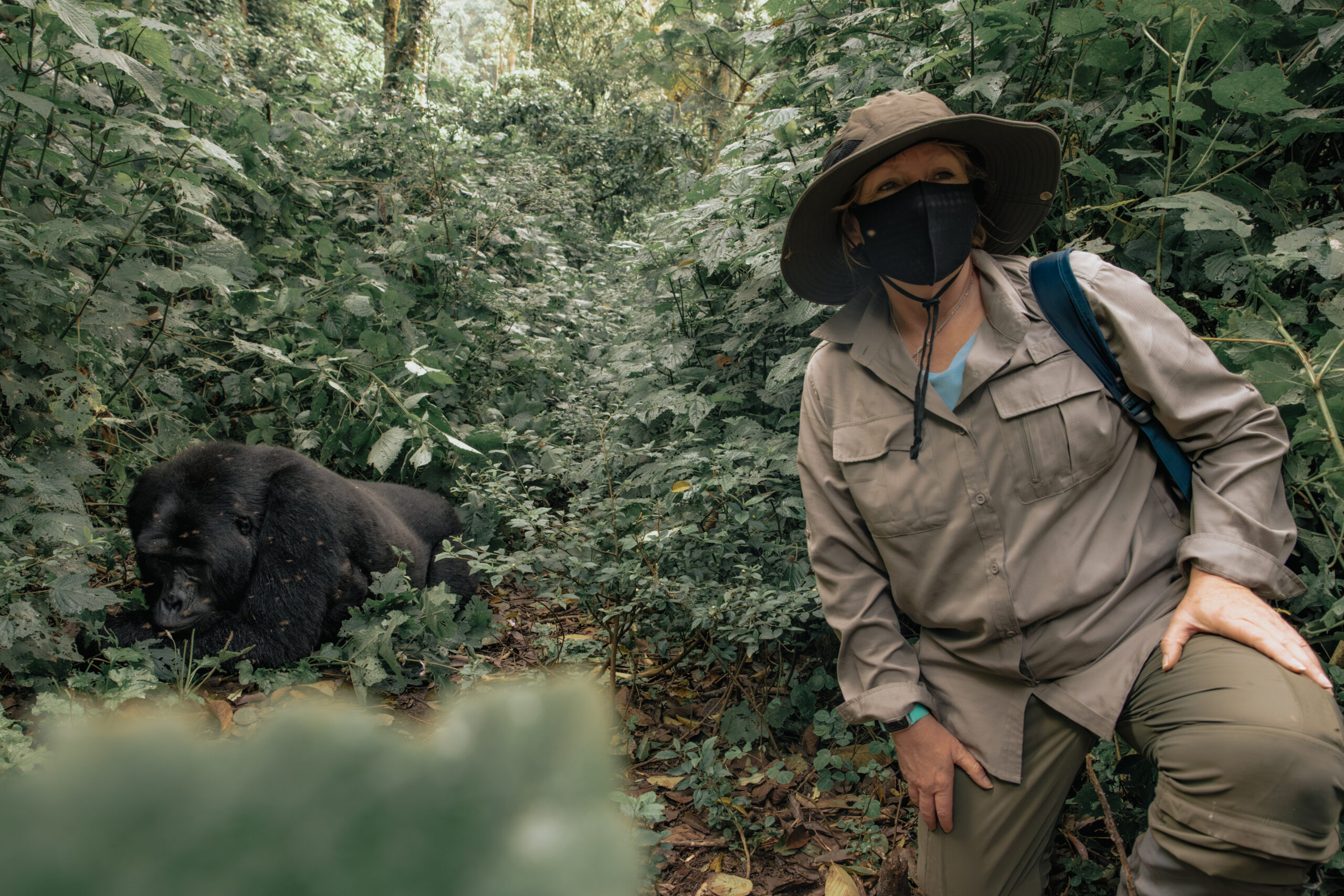 gorilla trekking what to expect